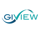 giview (1) giview (1)